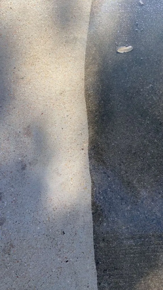 Custom yard maintenance experts serving West University Place, TX - LJ Pressure Washing