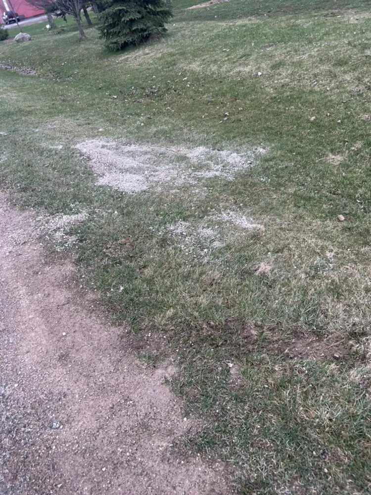 Expert residential landscaping in New Franken, WI by L&J Property Services