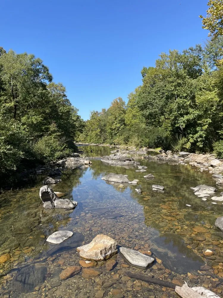 Custom lawn care service experts serving Arkadelphia, AR - L&J service