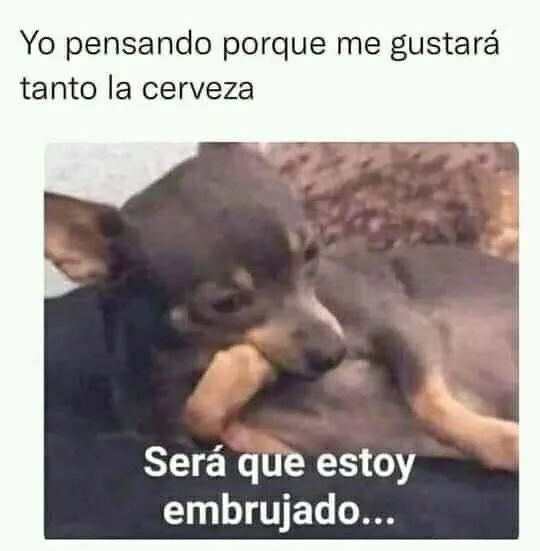 Trusted yard cleanup service experts serving City of Orange, NJ - L&J son General Contructiom