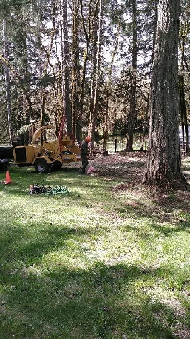 Trusted garden landscaping for homes in Eugene, OR by LJ Tree Care