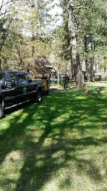 Top-rated yard cleanup service in Eugene, OR by LJ Tree Care