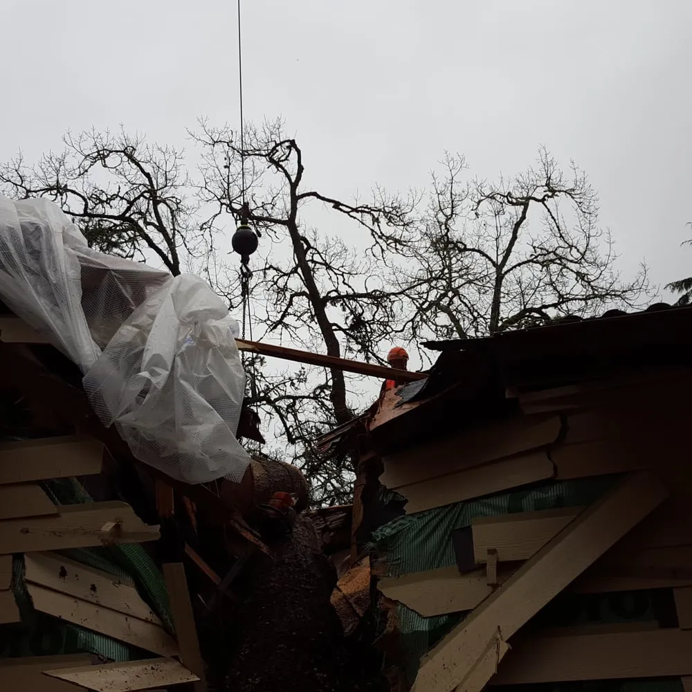 Local outdoor landscaping for year-round maintenance across Eugene, OR - LJ Tree Care