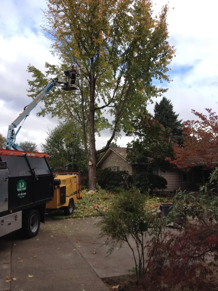 Professional landscape design for beautiful yards in Eugene, OR by LJ Tree Care