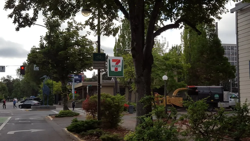 Affordable yard cleanup service experts serving Eugene, OR - LJ Tree Care