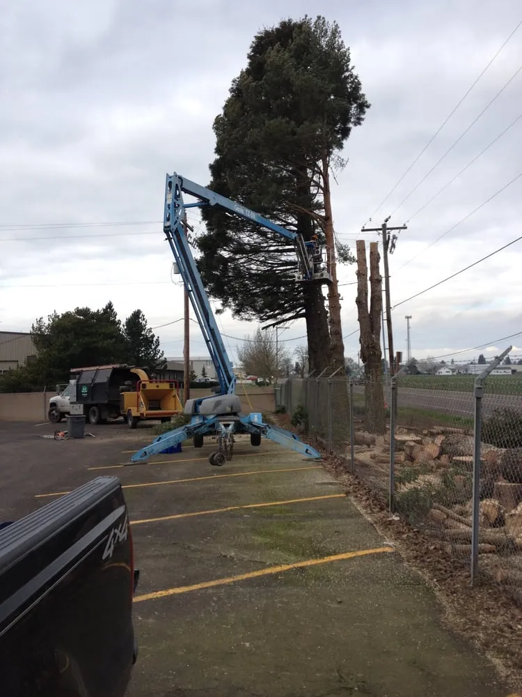 Expert landscaping services experts serving Eugene, OR - LJ Tree Care