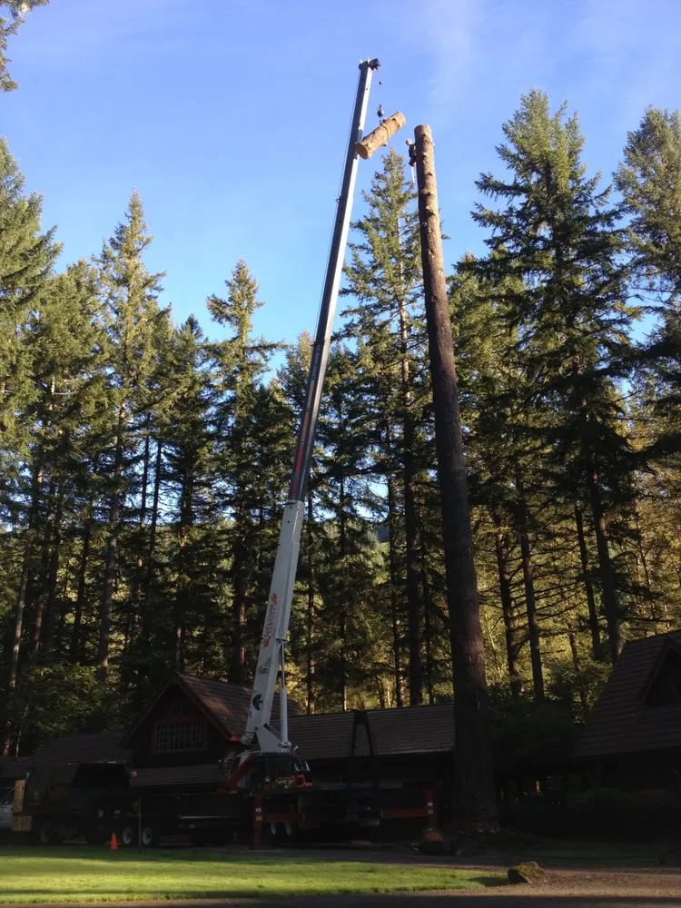 Trusted landscaping services in Eugene, OR - LJ Tree Care