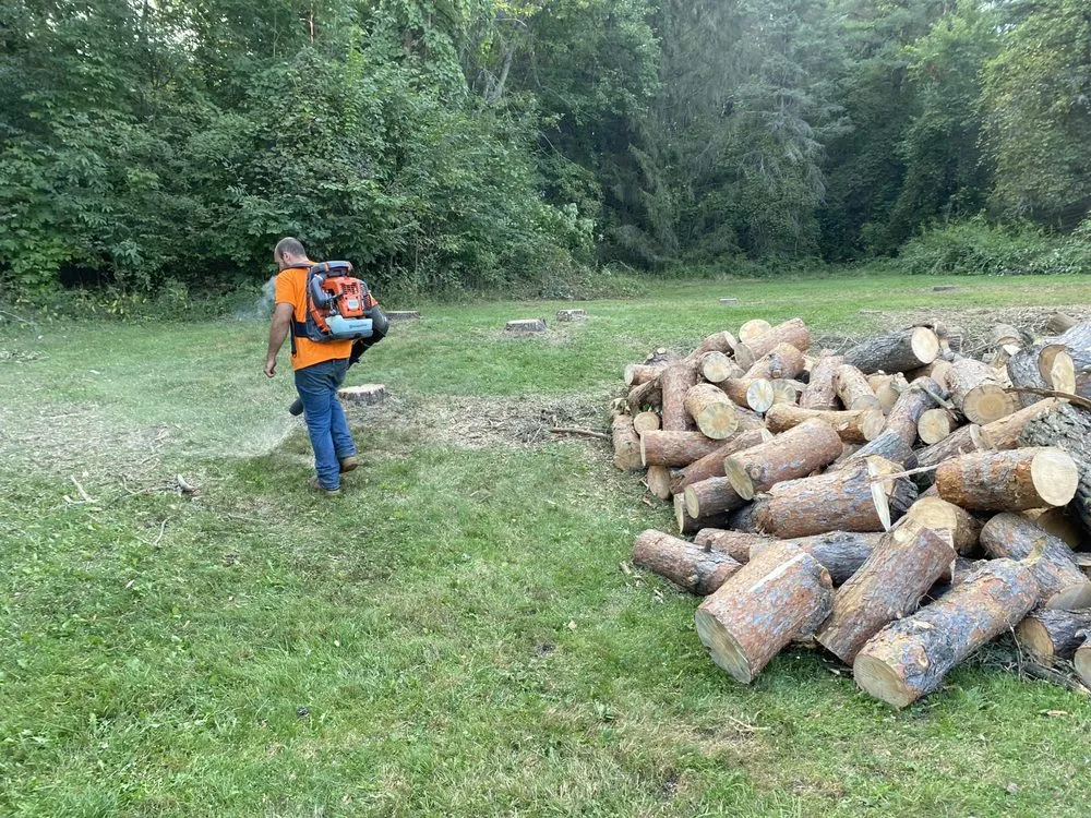 Trusted lawn mowing service in Alma, MI by LJA Land Clearing