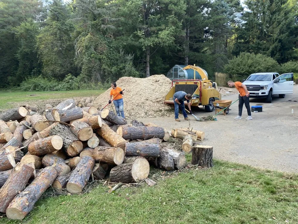 Custom yard maintenance experts serving Alma, MI - LJA Land Clearing