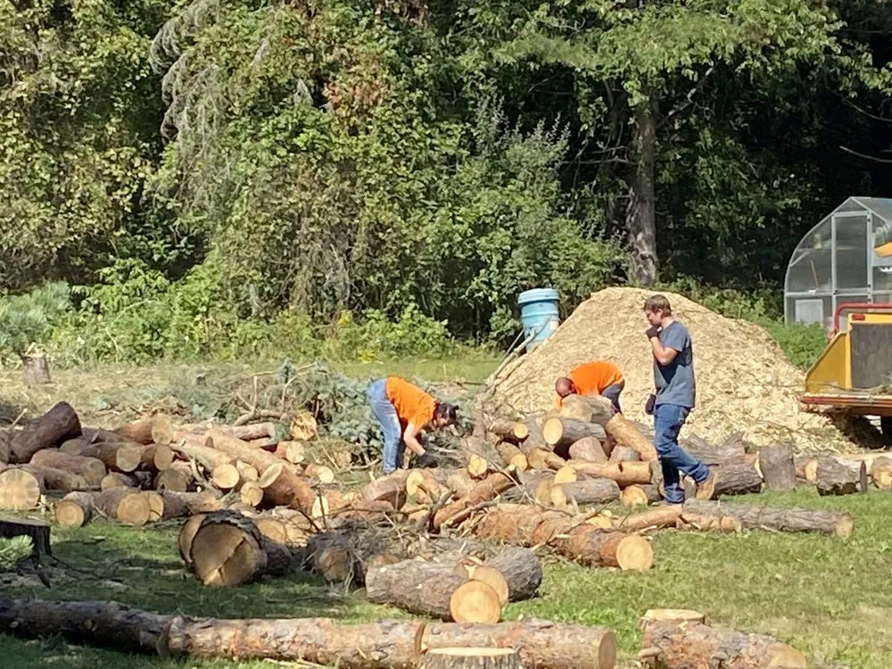 Professional residential landscaping in Alma, MI by LJA Land Clearing