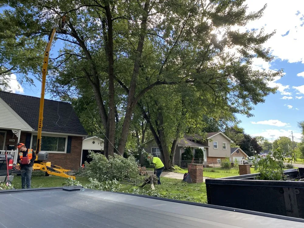 Trusted yard cleanup service for year-round maintenance in Alma, MI by LJA Land Clearing