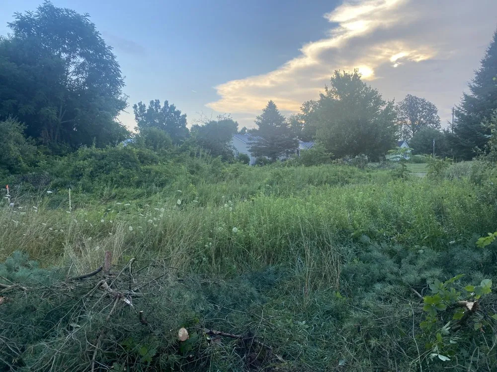 Local yard cleanup service for beautiful yards across Alma, MI - LJA Land Clearing