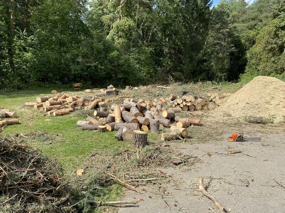 Local landscape installation experts serving Alma, MI - LJA Land Clearing
