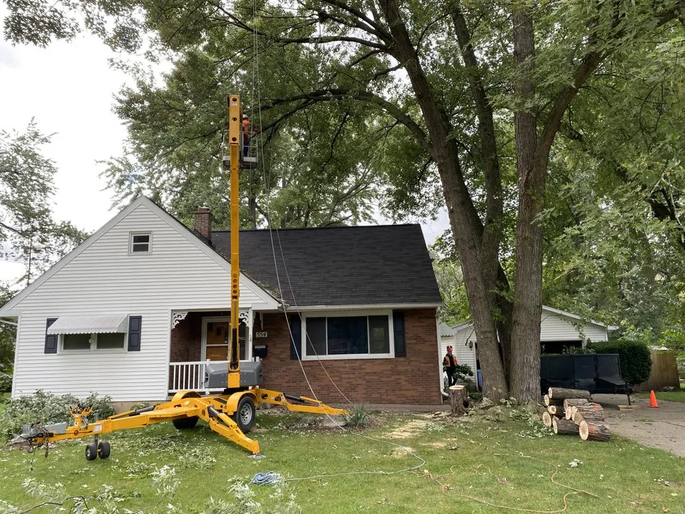 Local outdoor landscaping in Alma, MI by LJA Land Clearing