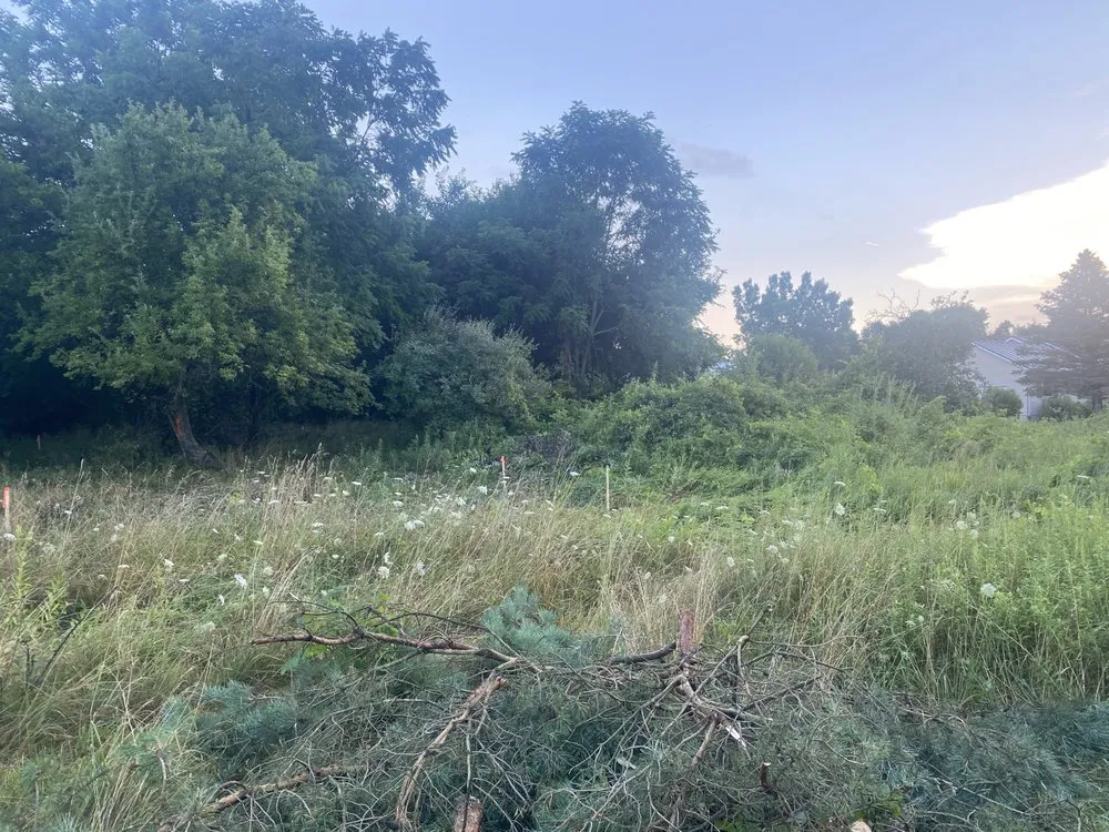 Reliable outdoor landscaping in Alma, MI by LJA Land Clearing