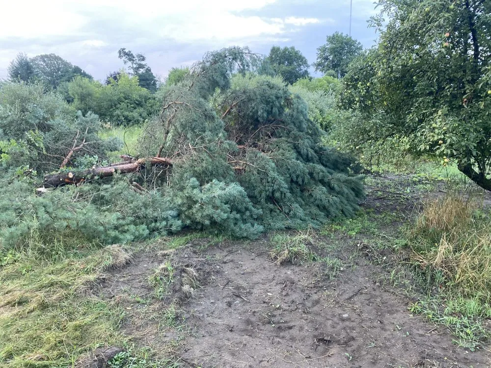 Top-rated residential landscaping for residential properties in Alma, MI by LJA Land Clearing