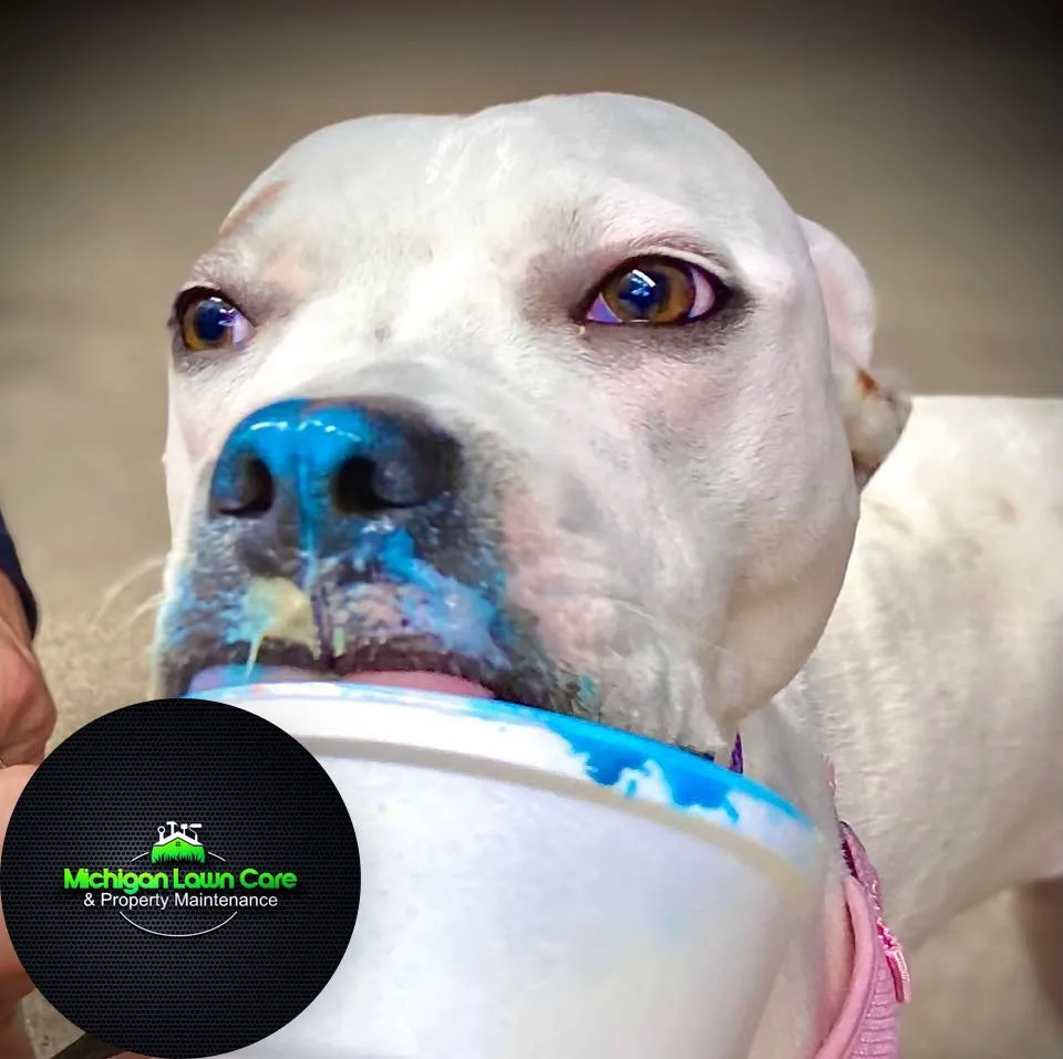 Custom yard maintenance for residential properties in Alma, MI by LJA Land Clearing