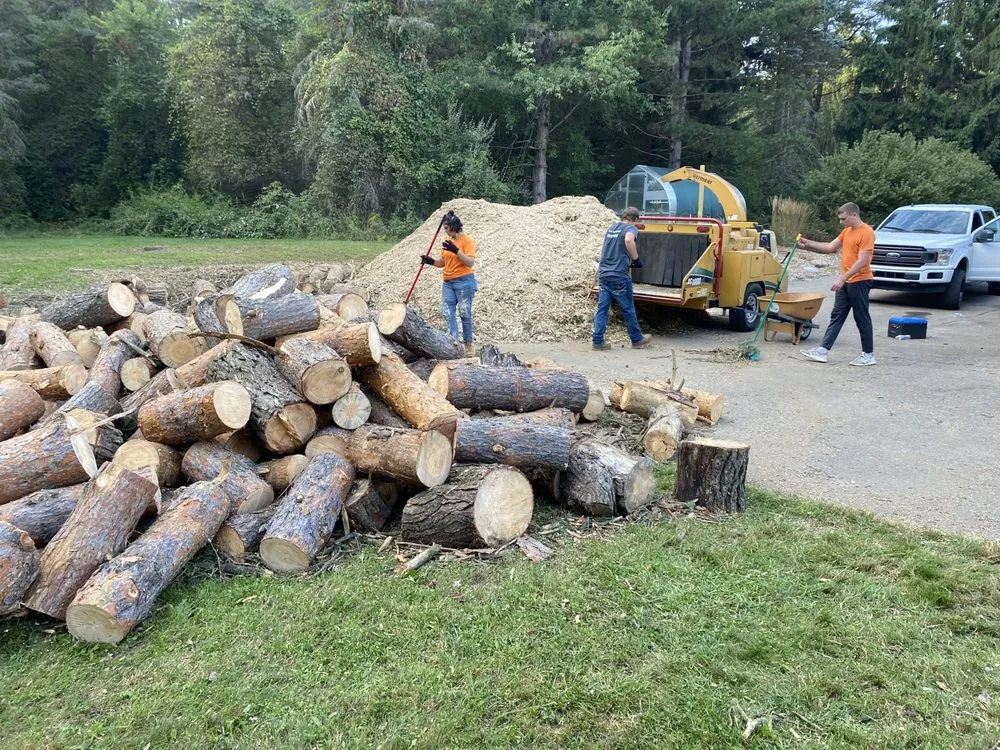 Custom lawn mowing service for outdoor upgrades in Alma, MI by LJA Land Clearing