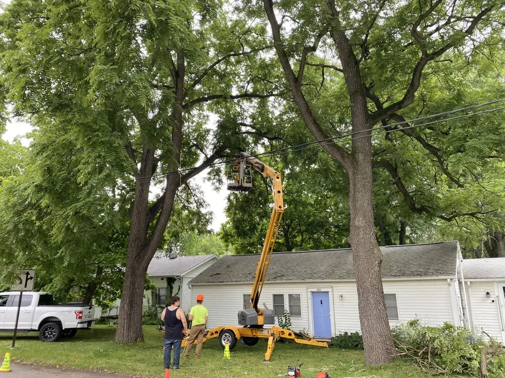Reliable outdoor landscaping experts serving Alma, MI - LJA Land Clearing