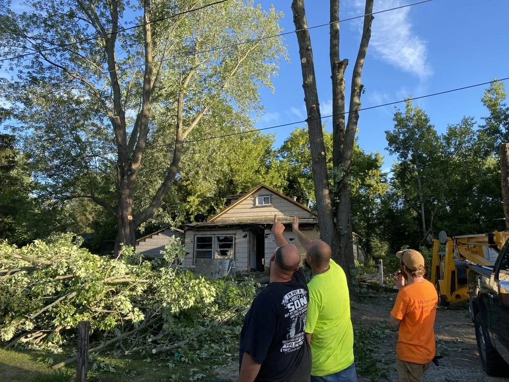Custom landscape installation in Alma, MI - LJA Land Clearing
