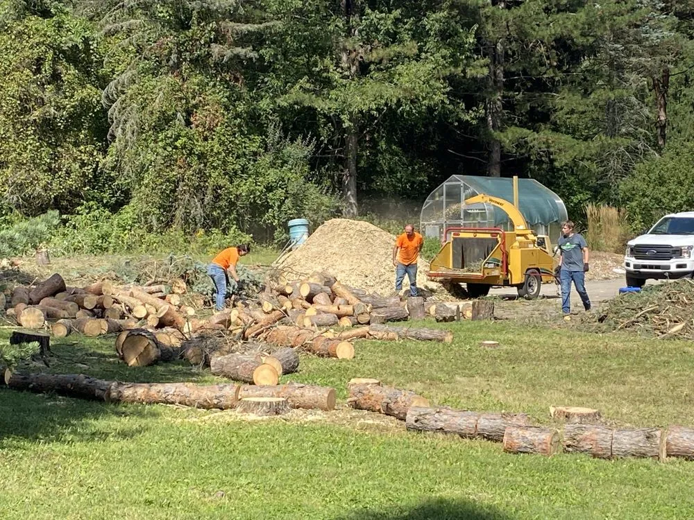 Trusted outdoor landscaping for outdoor upgrades across Alma, MI - LJA Land Clearing