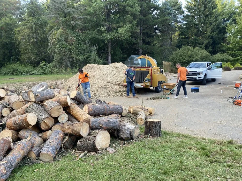 Custom landscaping services in Alma, MI - LJA Land Clearing