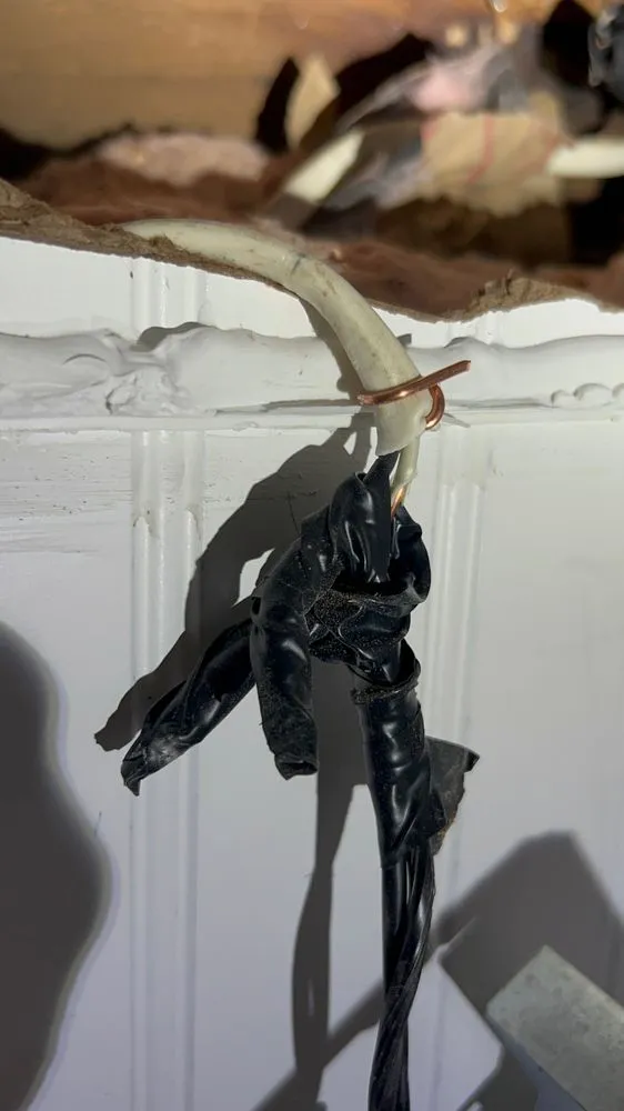 Top-rated yard cleanup service in Williamstown, NJ by Ljay & Jays Enterprise