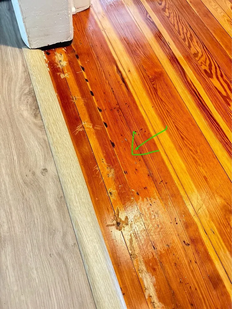 Affordable garden landscaping with custom design in Williamstown, NJ by Ljay & Jays Enterprise