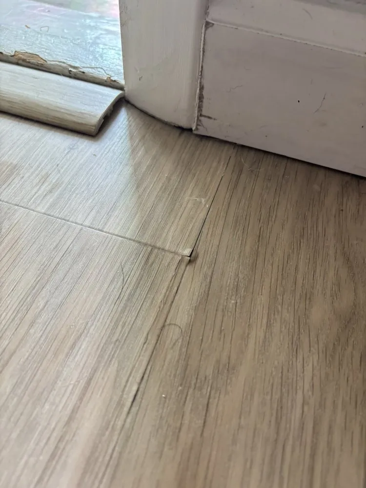 Expert landscape installation for homes across Williamstown, NJ - Ljay & Jays Enterprise