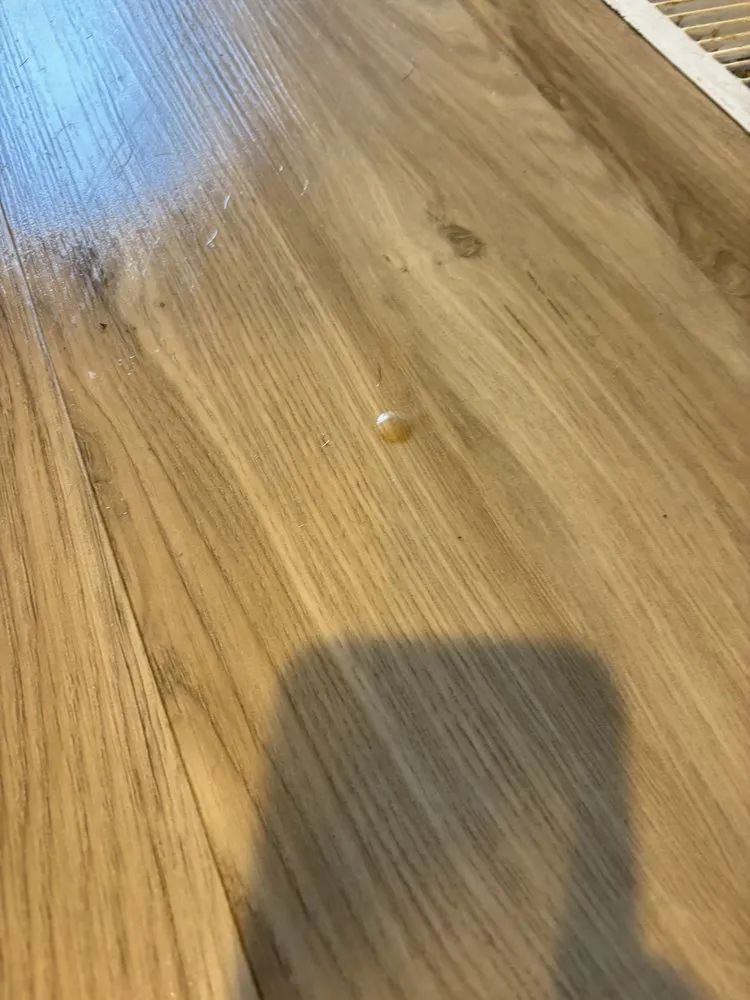 Expert yard cleanup service in Williamstown, NJ by Ljay & Jays Enterprise