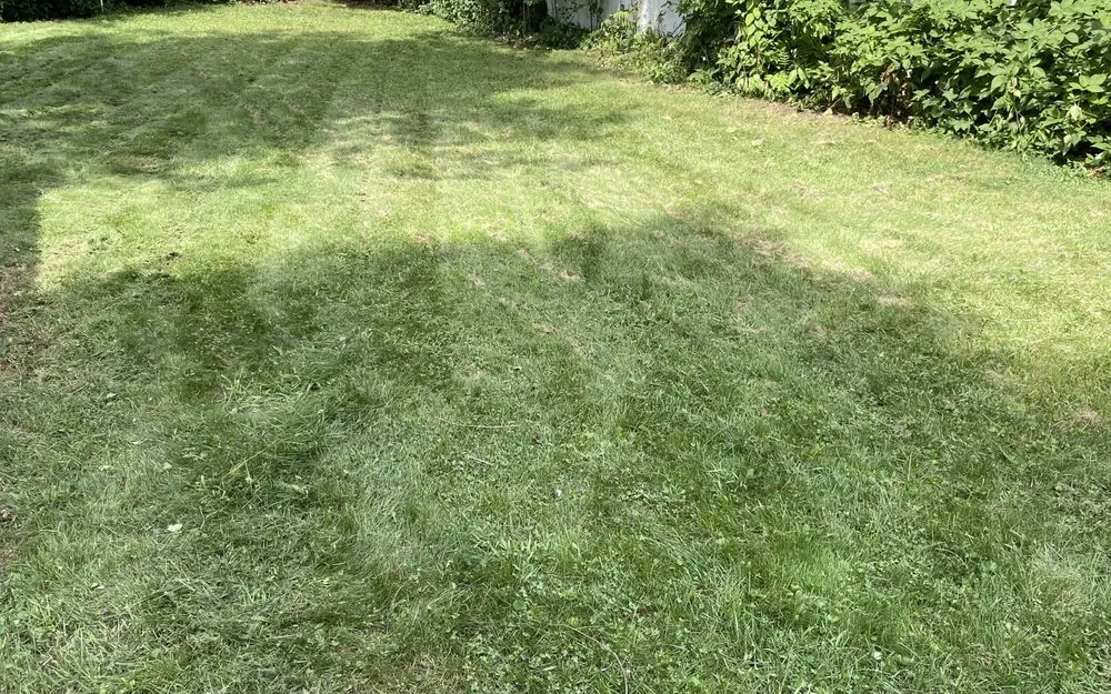 Professional landscape design experts serving Paramus, NJ - L.J.B. Landscaping