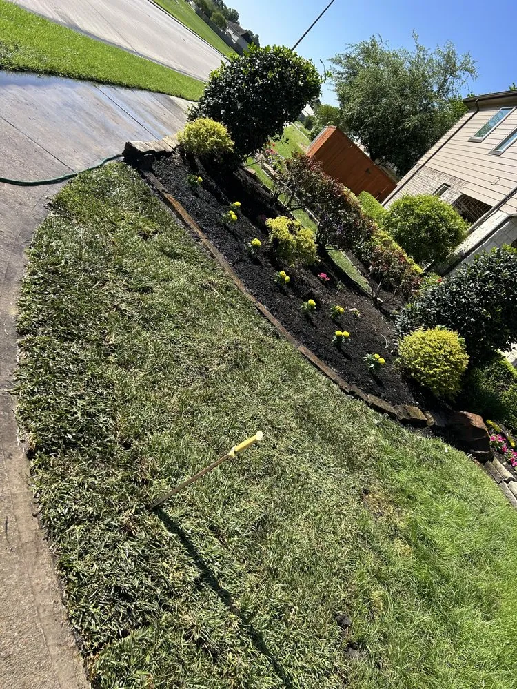 Affordable yard maintenance for outdoor upgrades in Porter Heights, TX by LJB Landscaping