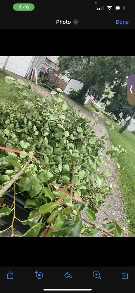 Trusted residential landscaping in Williamsport, OH - LJC Lawn Care