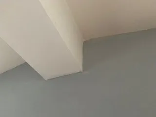 Expert yard cleanup service for beautiful yards across Walkerton, IN - LJC Renovations