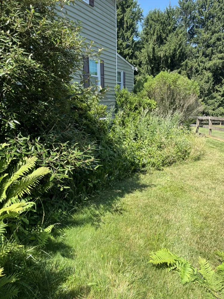 Local landscaping services experts serving West Chester, PA - Ljd Landscaping