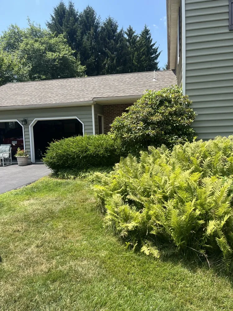 Affordable lawn care service in West Chester, PA by Ljd Landscaping