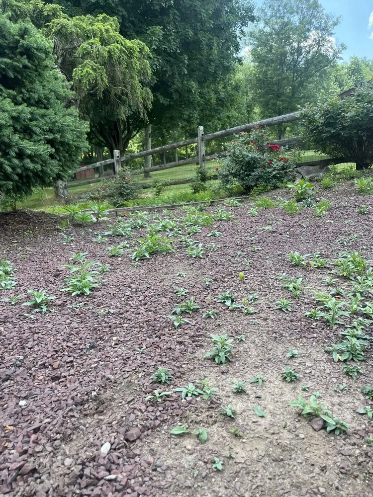 Reliable outdoor landscaping for year-round maintenance in West Chester, PA by Ljd Landscaping