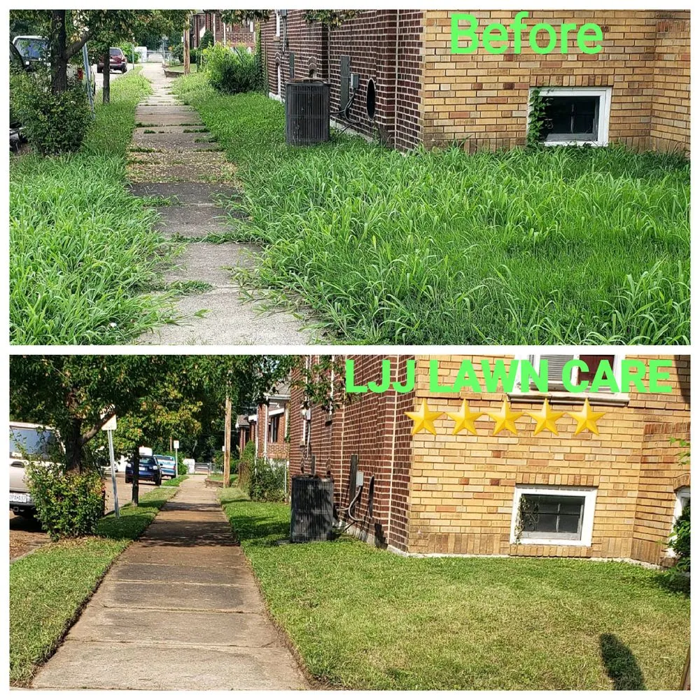 Professional landscaping services for year-round maintenance across Saint Louis, MO - LJJ LAWN CARE
