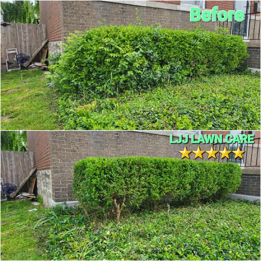 Top-rated outdoor landscaping experts serving Saint Louis, MO - LJJ LAWN CARE