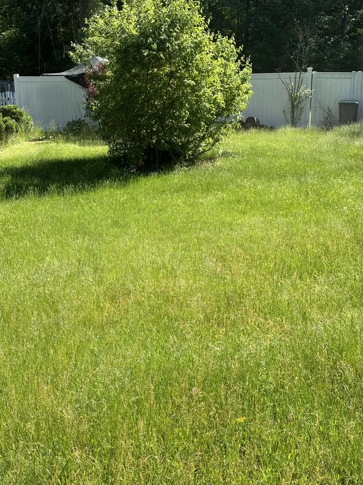 Top-rated yard cleanup service with custom design in North Attleborough, MA by LJLandscaping