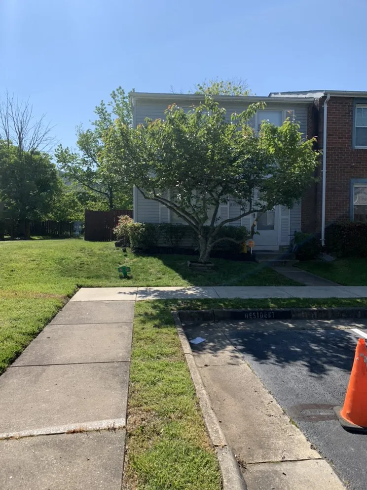 Affordable residential landscaping in Annandale, VA by LJP Landscaping