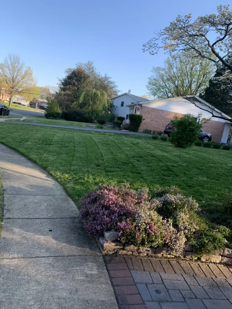 Top-rated landscape design with custom design across Annandale, VA - LJP Landscaping