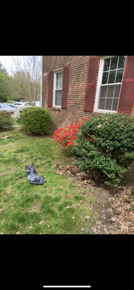 Top-rated landscape installation in Annandale, VA by LJP Landscaping