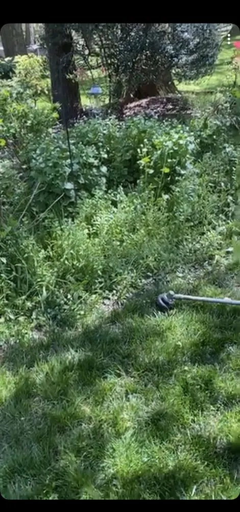 Top-rated residential landscaping for homes across Annandale, VA - LJP Landscaping