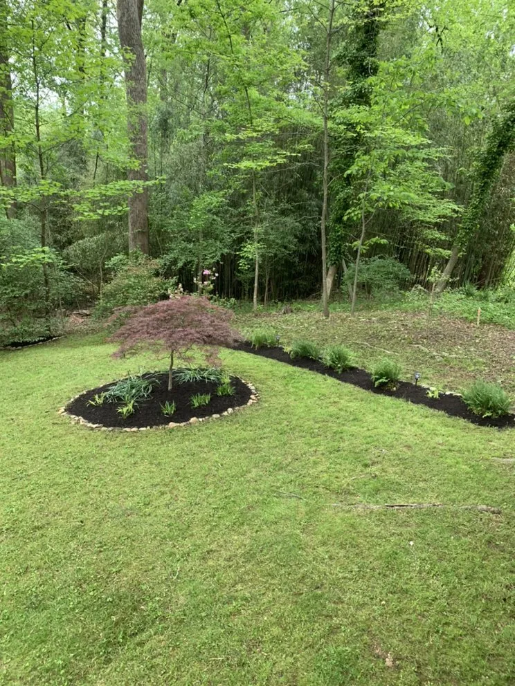 Expert yard cleanup service in Annandale, VA by LJP Landscaping