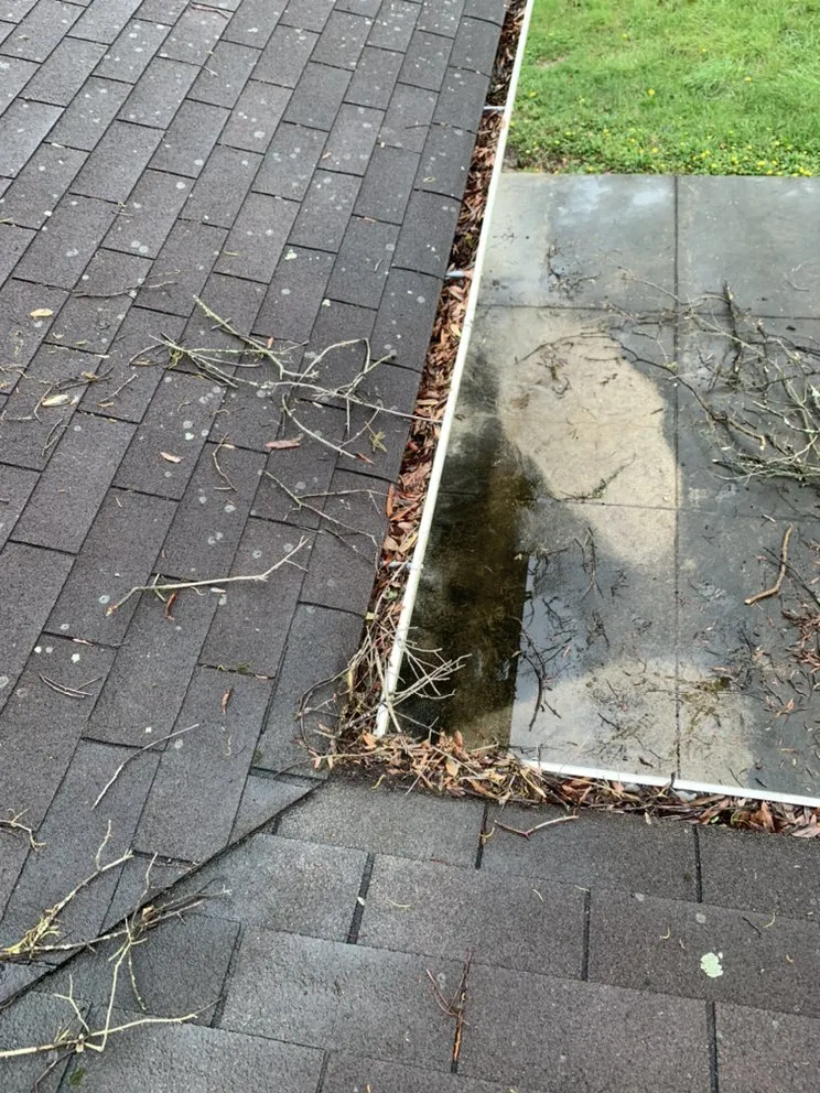 Expert yard cleanup service in Annandale, VA - LJP Landscaping