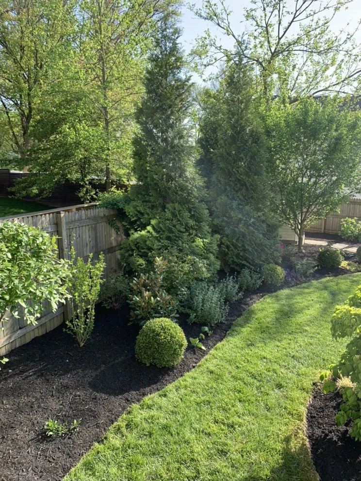 Top-rated lawn mowing service experts serving Annandale, VA - LJP Landscaping