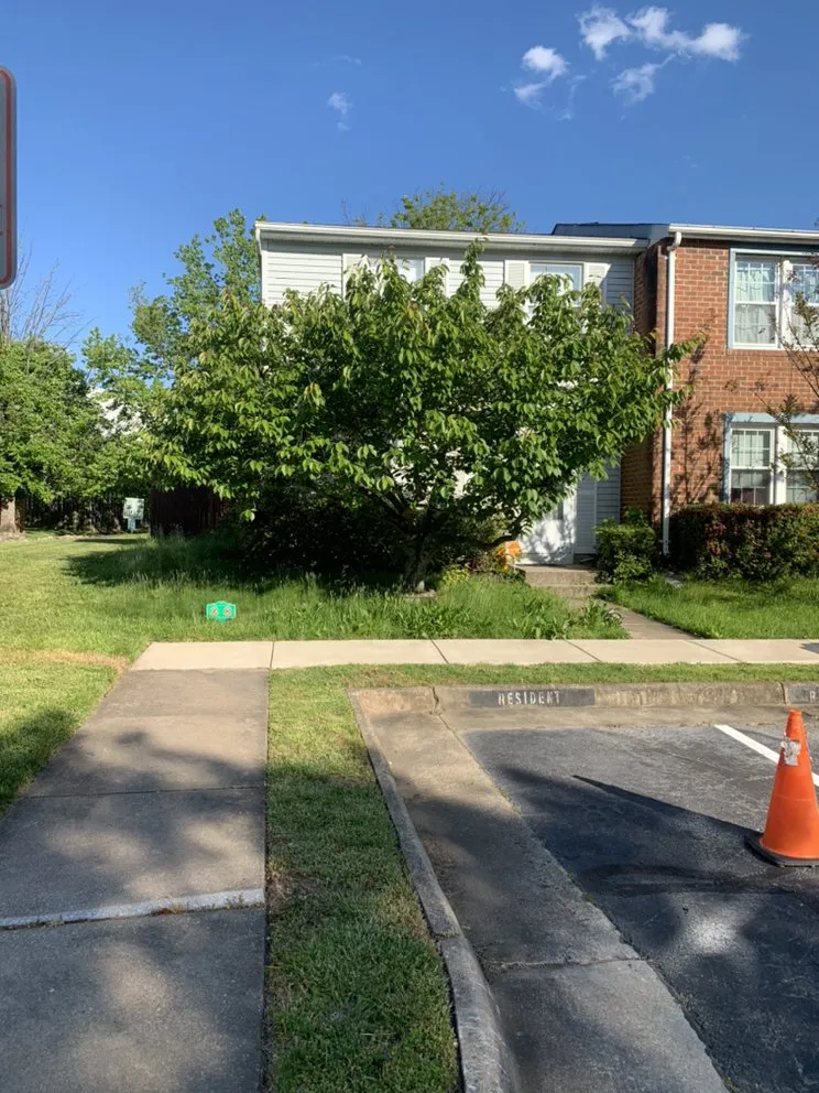 Reliable yard maintenance in Annandale, VA by LJP Landscaping