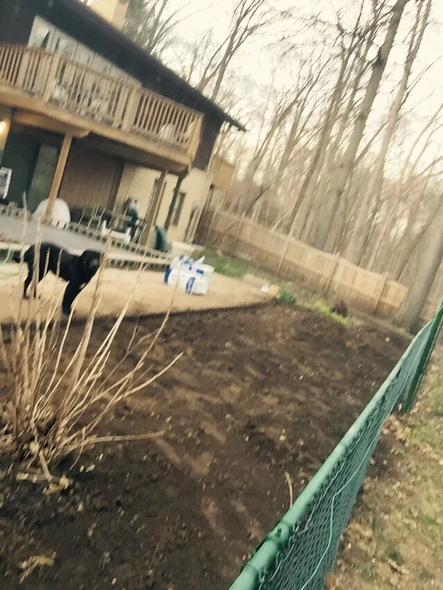 Expert lawn care service in Terre Haute, IN - LJs landscape And Design