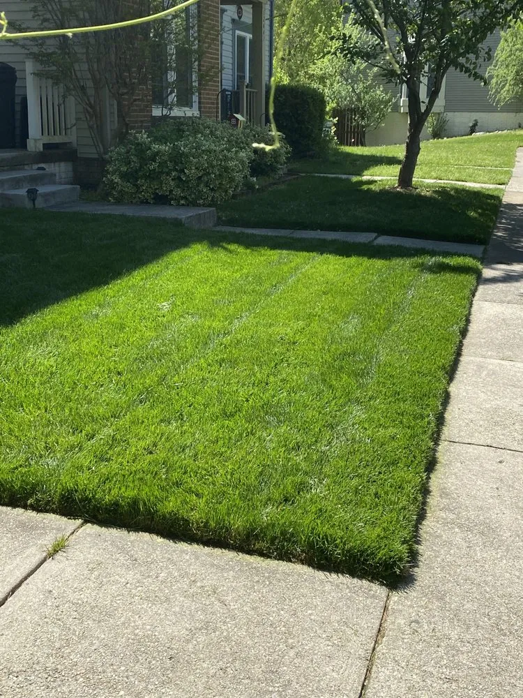 Expert outdoor landscaping for outdoor upgrades in Fredericksburg, VA by LJ’s Landscaping